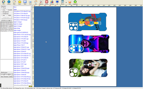 Modelo de download gratuito do software Daqin 10000 Mobile Skin para loja de acessórios de telefone